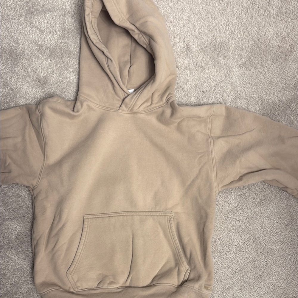 Aritzia perfect fit hoodie